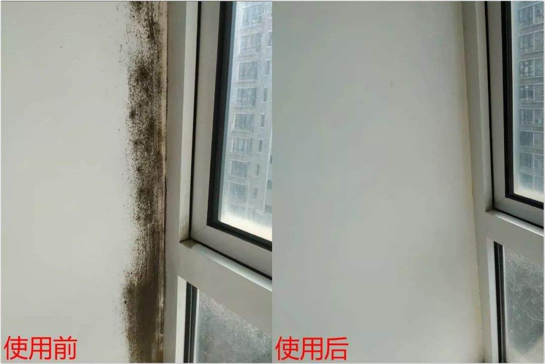 住了几年的房子怎么自己大扫除,住了很久的房子怎么收拾