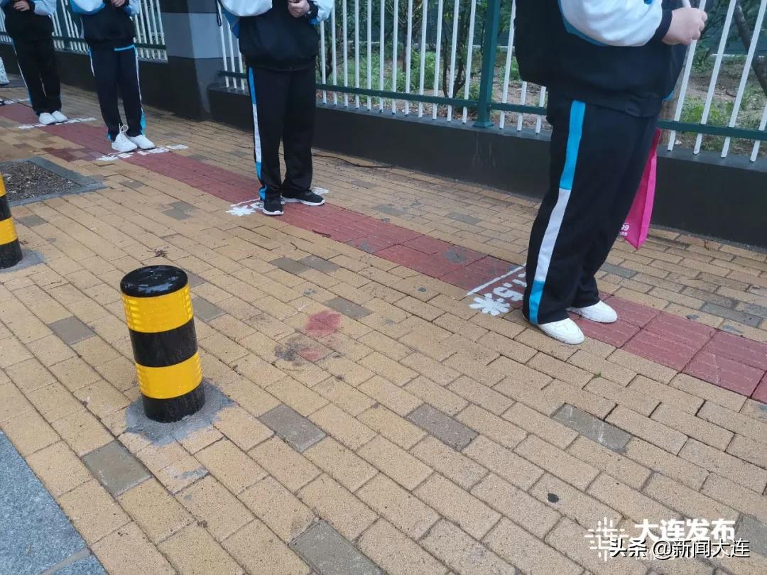 风雨中，“神兽”们返校了