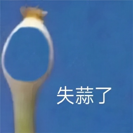 拜登摔倒魔性视频,拜登意外事件视频