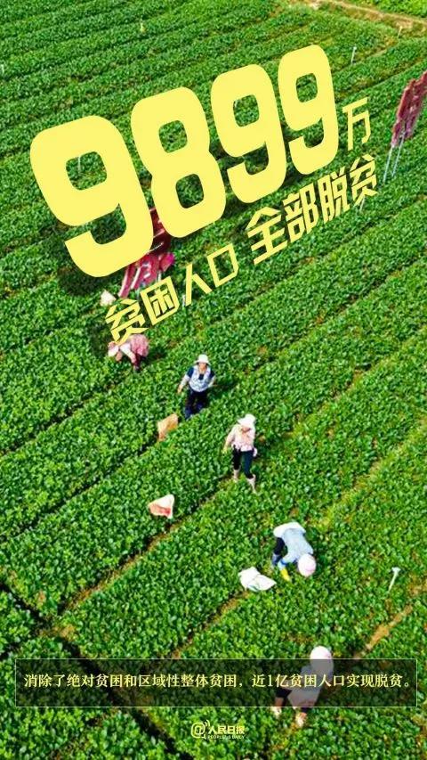 董路谈中国足球出路,中国足球归化的出路