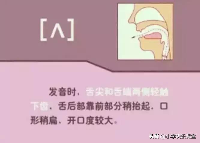 48个国际音标的发音口型视频图,英语48个音标发音口型视频