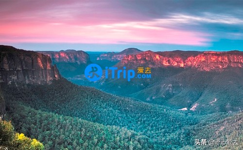 澳大利亚悉尼旅游攻略蓝山,牙买加蓝山悉尼蓝山