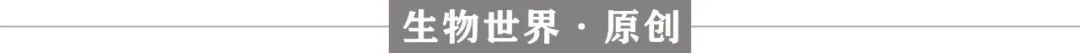 恋爱中的人多巴胺,恋爱中的人智商为零