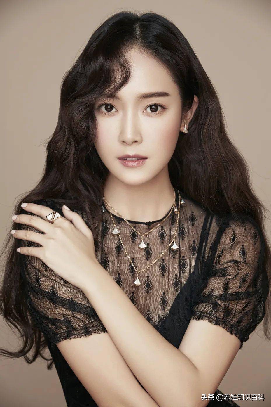 宝格丽扇子适合人群,宝格丽扇子选购攻略