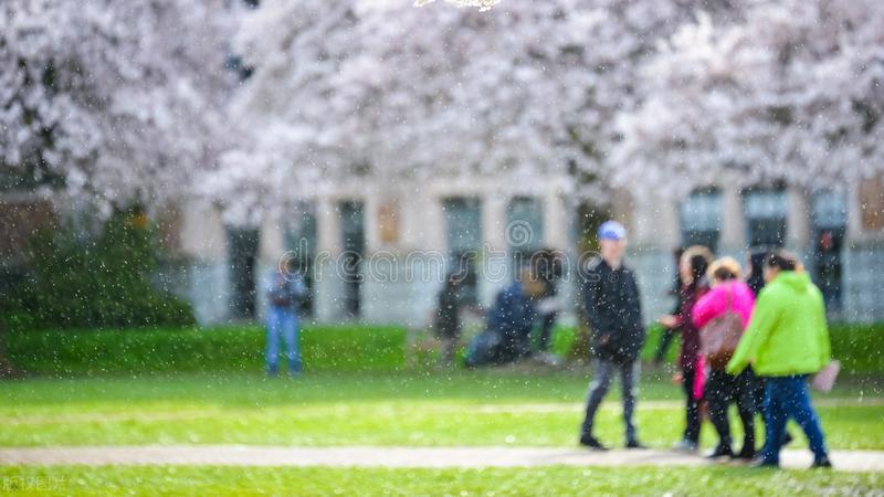 爱丁堡大学计算语言学硕士申请,华盛顿大学统计专业研究生怎么样