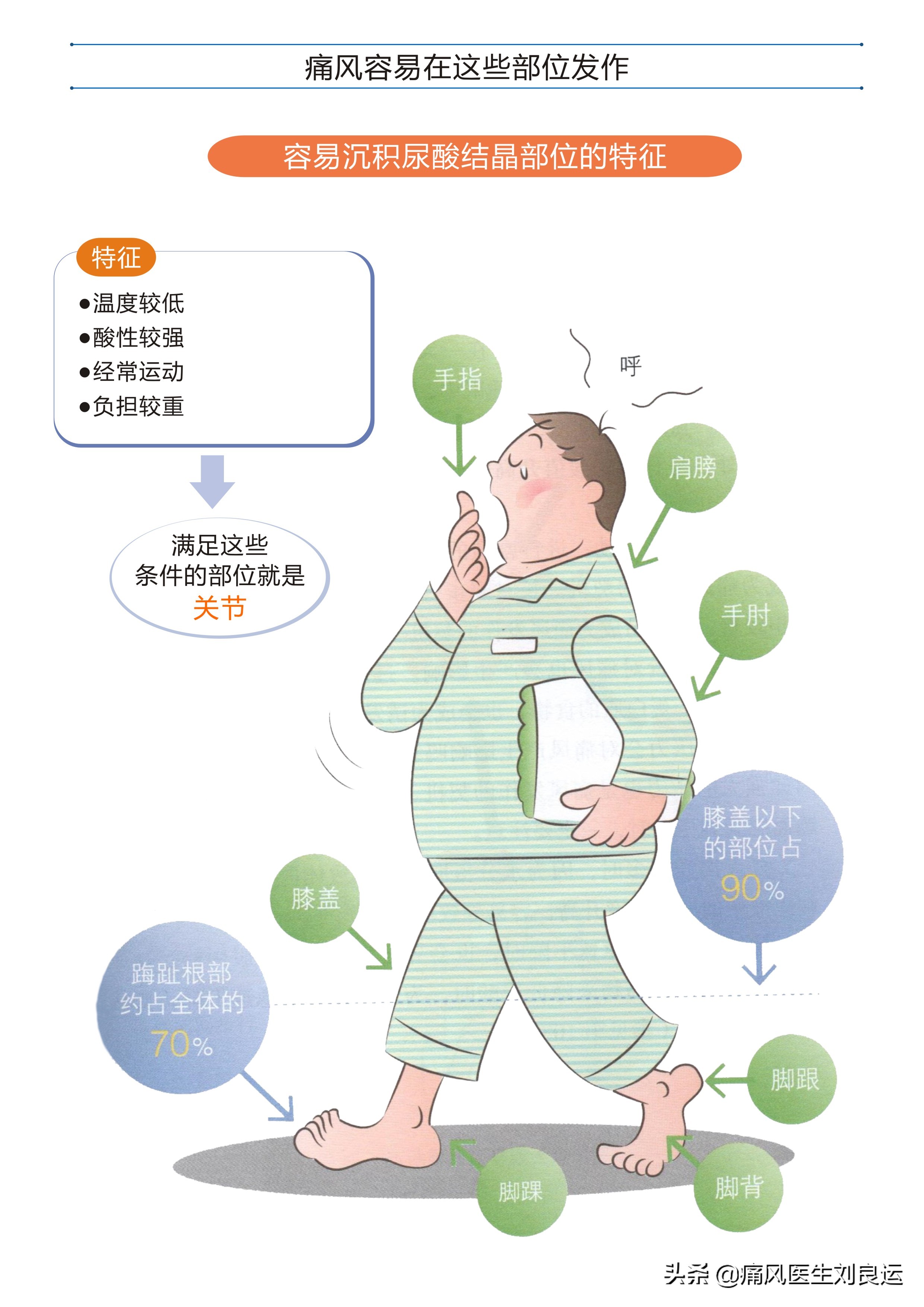 痛风发作大脚趾不能活动,痛风发作时只痛不肿不热为什么