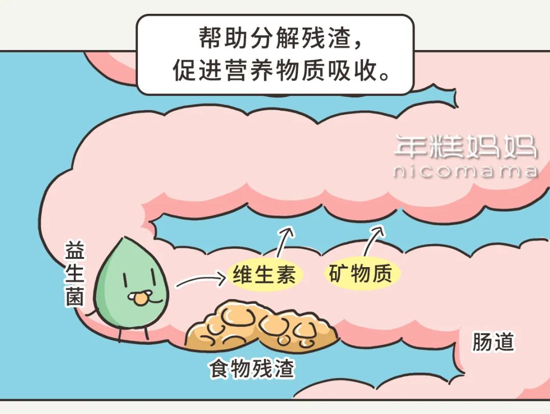 买益生菌需求问医生吗,买益生菌时注意事项