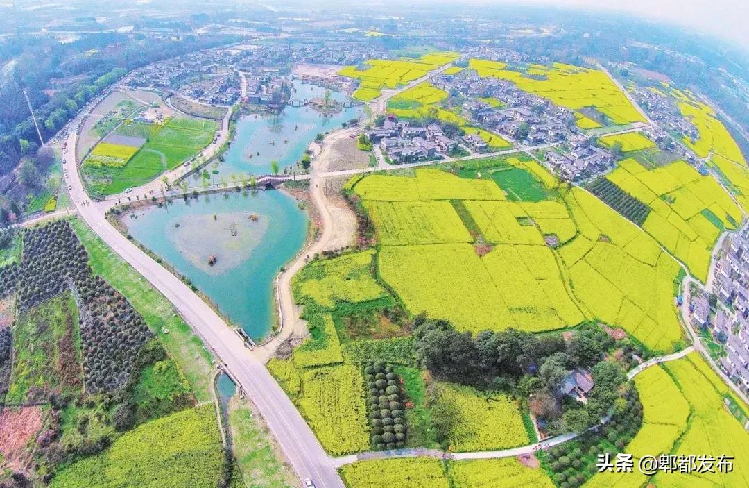 郫都排名前十名,全国百强镇名单最新排名四川