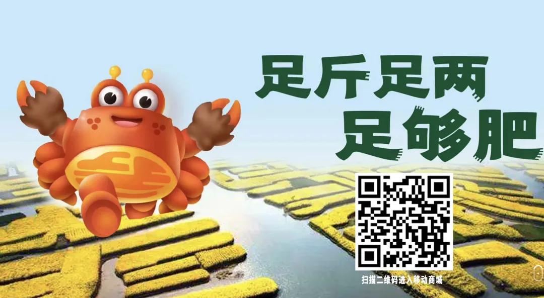 “兴化大闸蟹”冠名高铁正式启程，中企动力助力其绽放中国速度