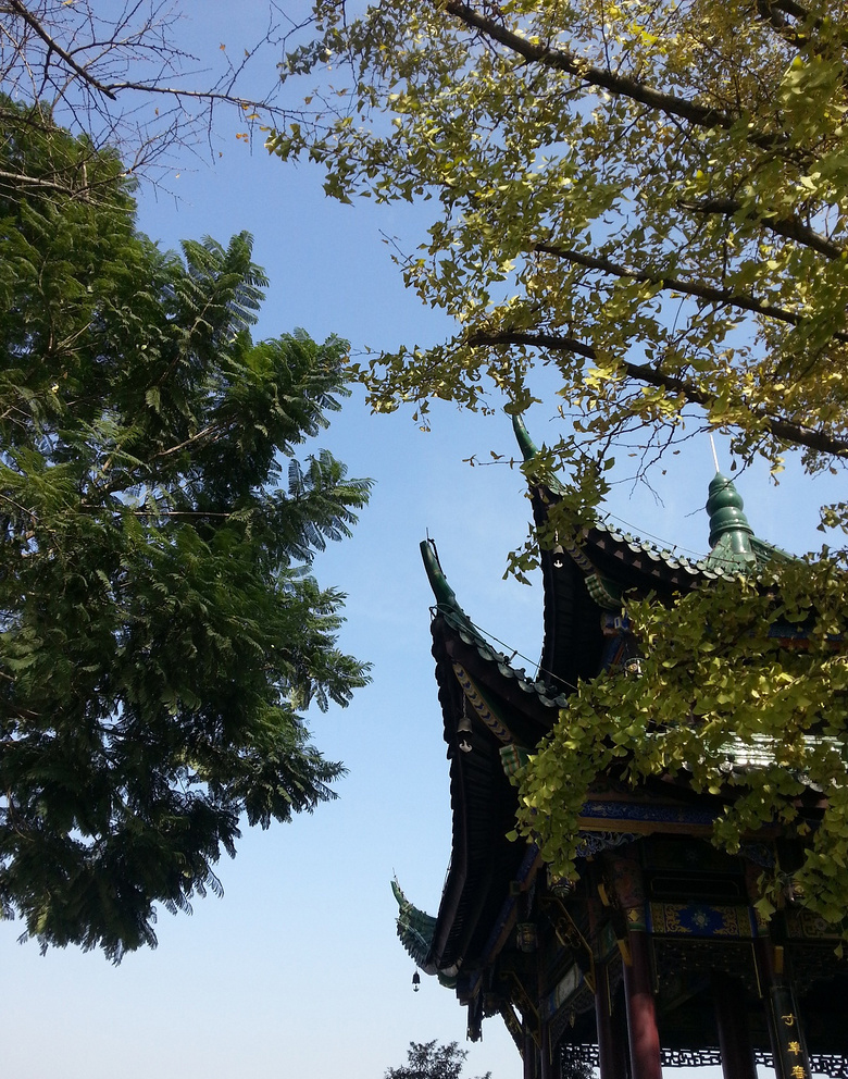 重庆附近公园免费景点推荐一下,重庆主城区适合小孩玩的公园