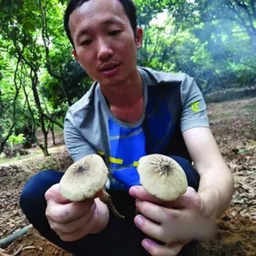 教你种蘑菇视频,在家种蘑菇的小方法