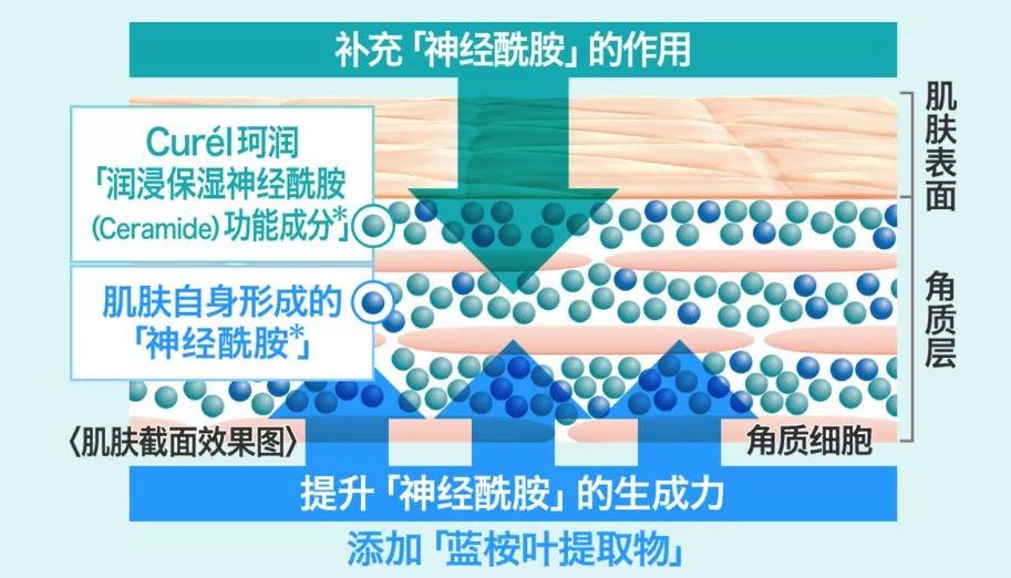 日本curel珂润补水,日本curel珂润化妆水乳液