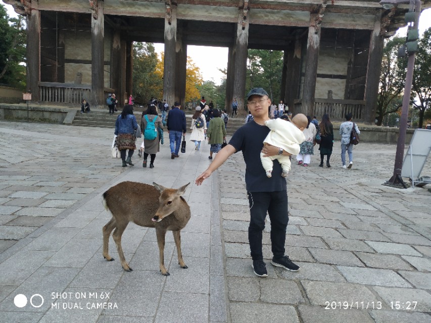 日本关西旅游14天,关西14天旅行攻略