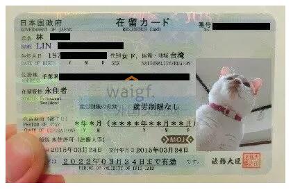 日本绿卡申请条件,申请日本绿卡需求每年住多少天