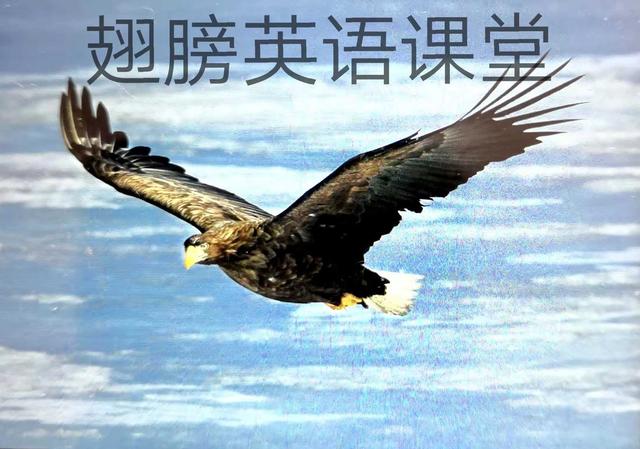 重要连词lest用法解析