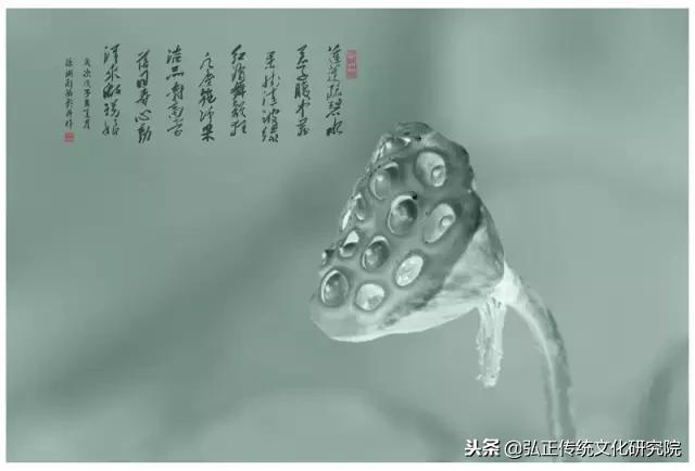 李白苏轼超浪漫的诗句,李白苏轼富有哲理的诗句