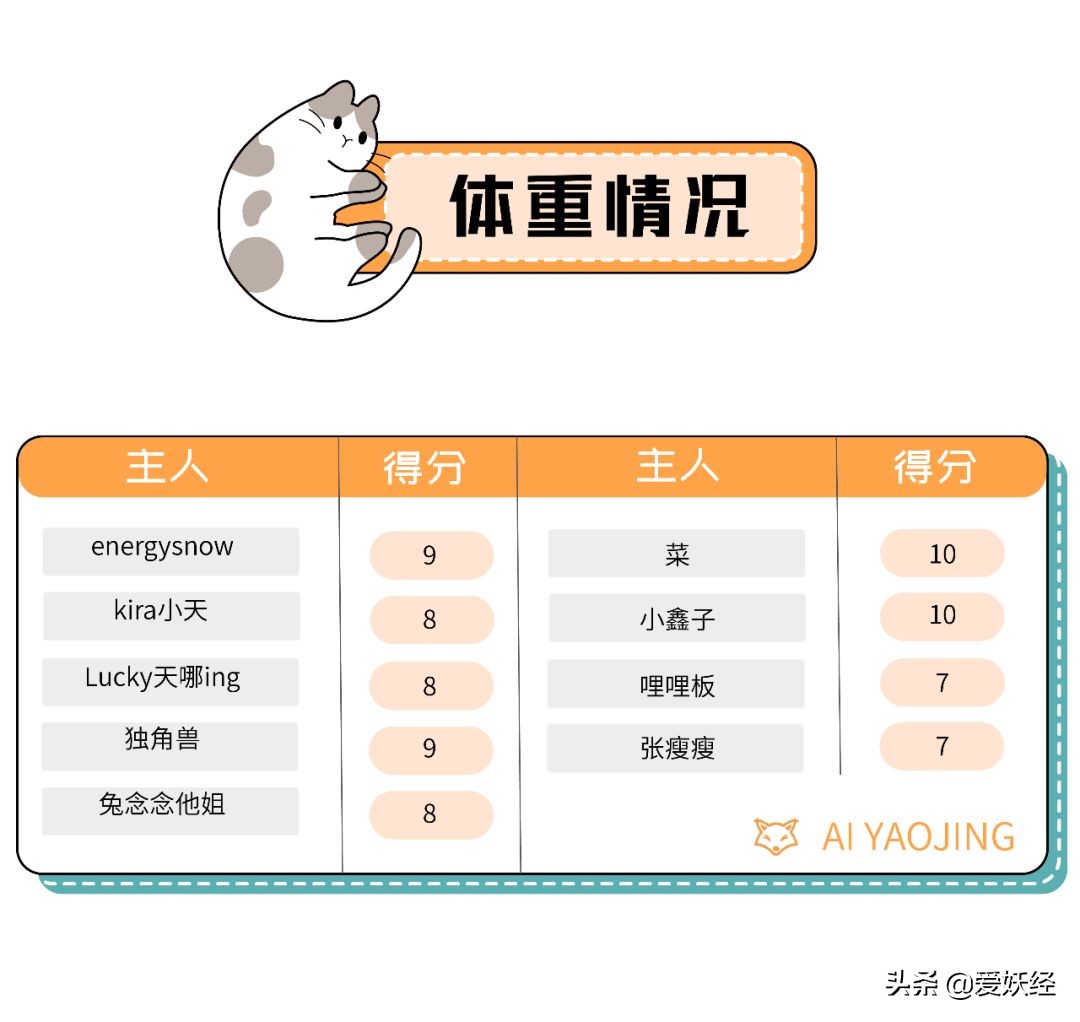 铲屎官减肥瘦身,吐毛球的铲屎官