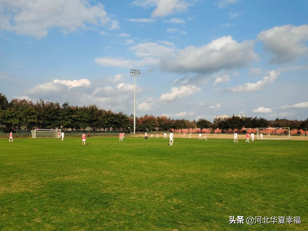 幸福丰收季青训,幸福足球俱乐部青训报名