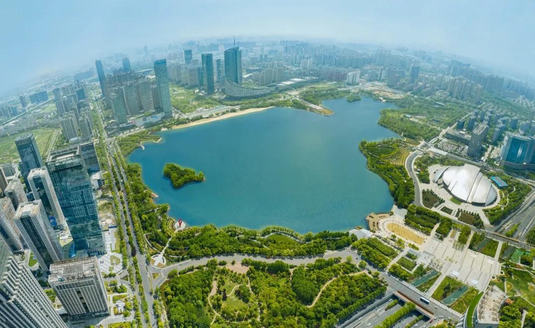 安徽省合肥市天鹅湖,安徽合肥的天鹅湖