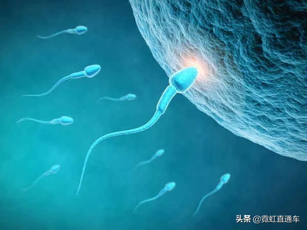 全球首例试管婴儿在哪国,日本试管婴儿有多少人