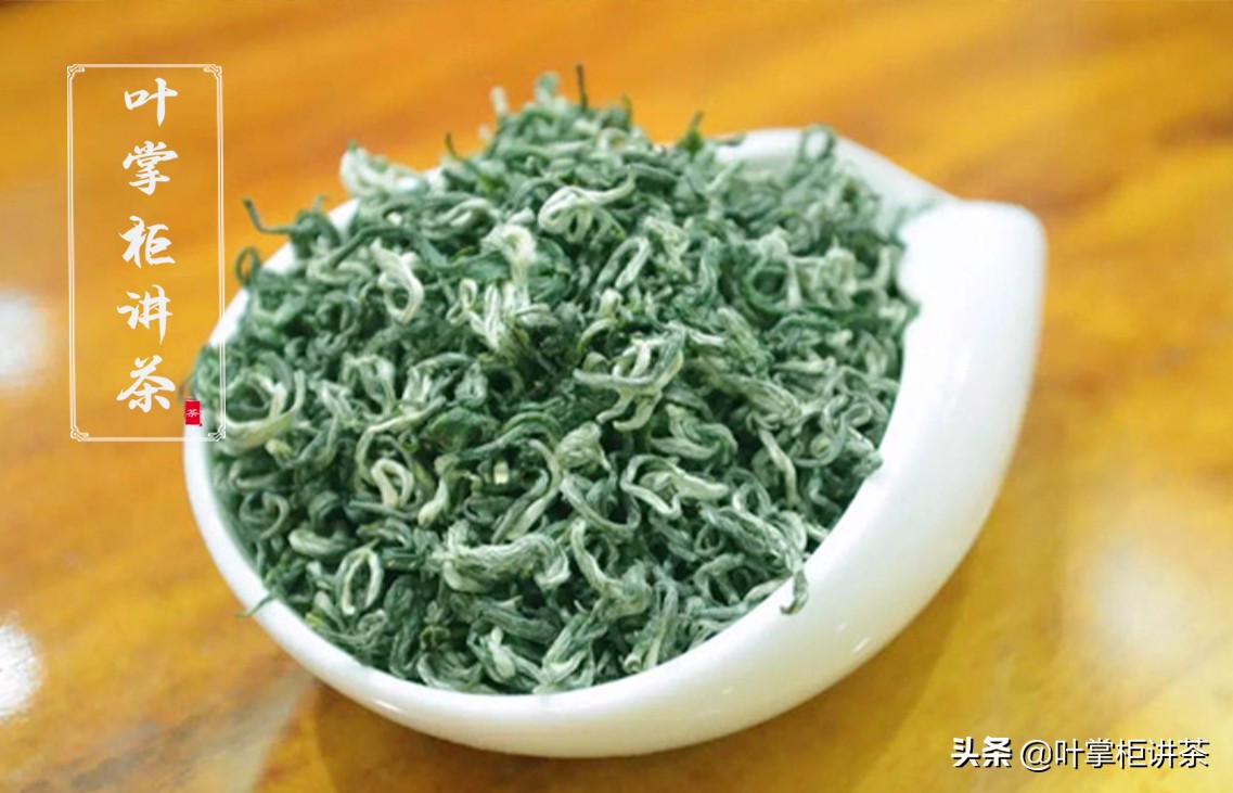 都匀毛尖与信阳毛尖十大名茶之争,中国十大名茶都匀毛尖茶