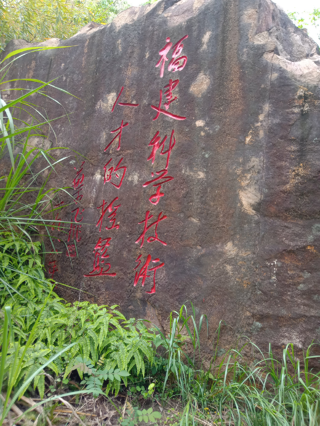 福州大学就像一座大公园，风景美到爆！最美的世界一流学科院校