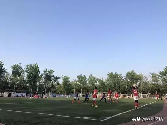 30万足球老师的生存状态调查
