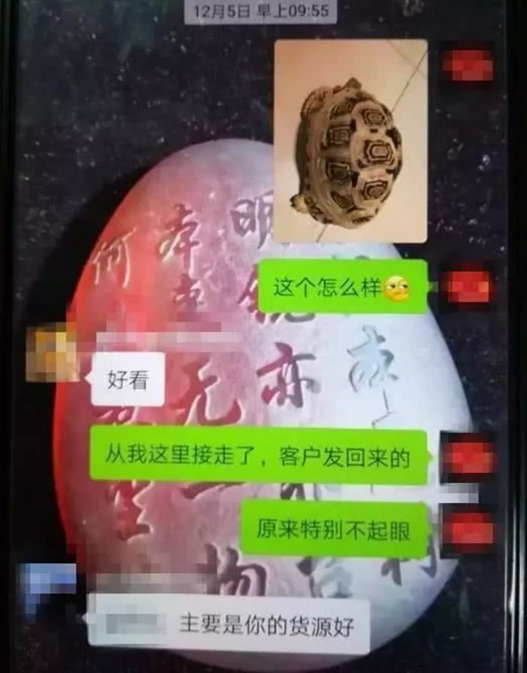 一家平淡无奇的宠物店,一家宠物店里的动物