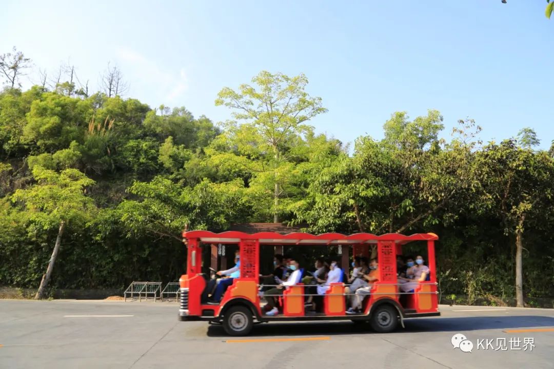 珠海东澳岛旅行攻略,东澳岛电动车环岛旅游