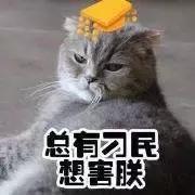 隔离霜可以隔离脏东西吗,隔离霜真的能隔离什么