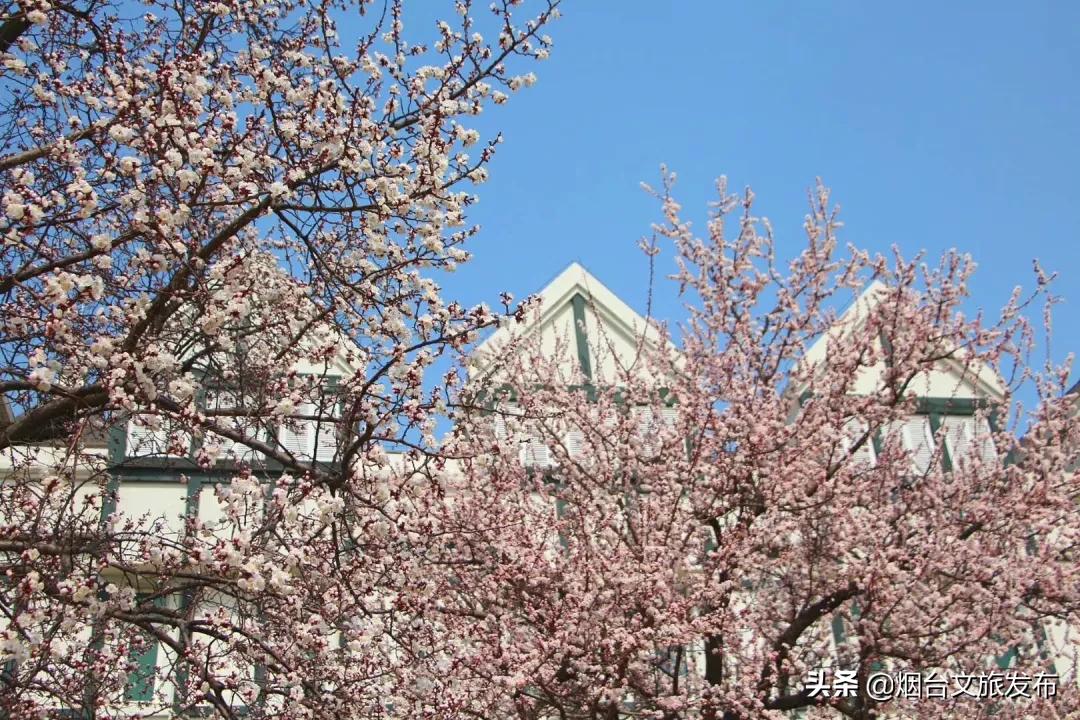 张裕卡斯特酒庄窖藏5年,张裕卡斯特酒庄品酒