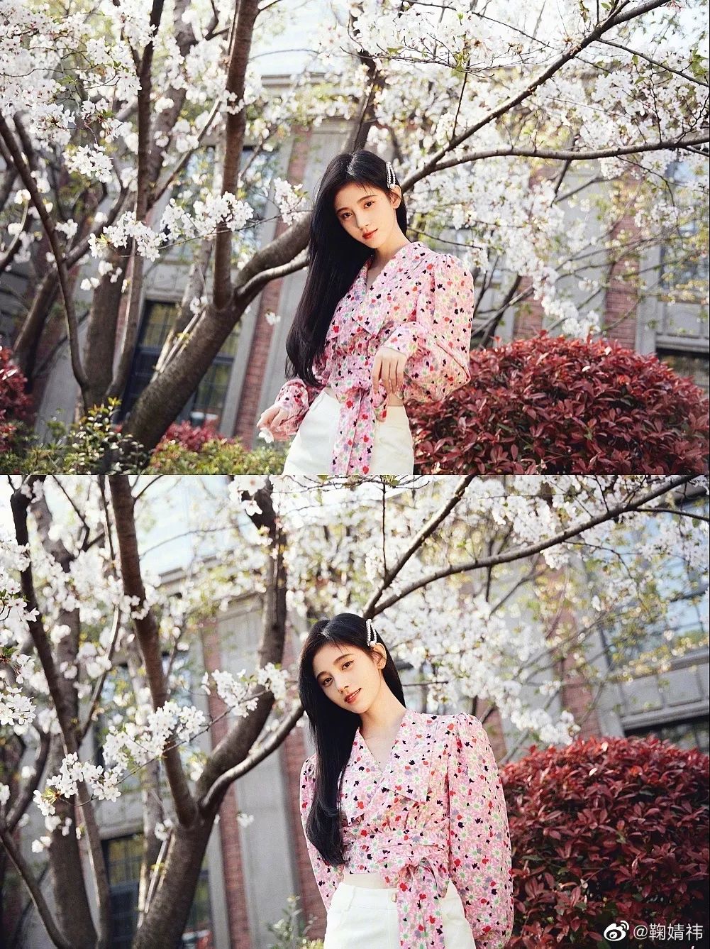 杨颖樱花与精灵妆拼图,刘嘉玲樱花美照