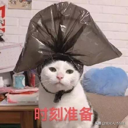 遛狗师年薪30万？剥虾师、收纳师……现在年轻人赚钱路子太野