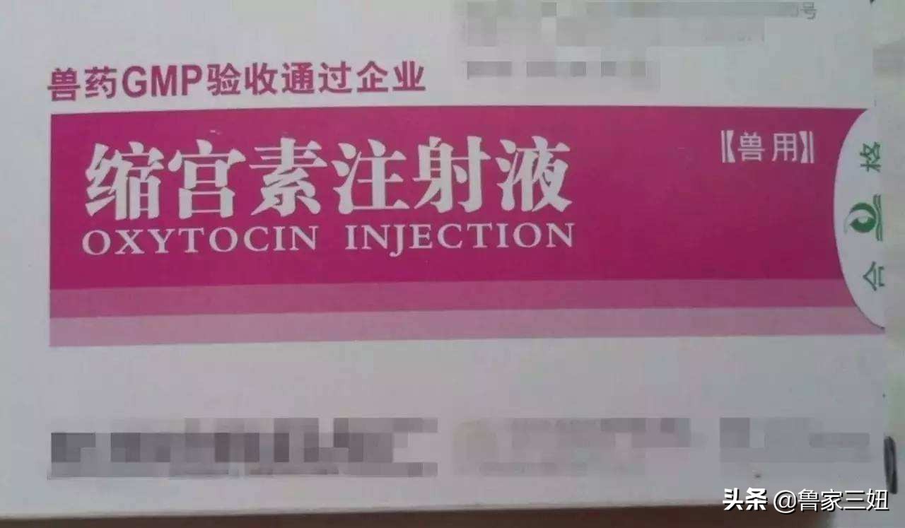 氯前列醇和缩宫素能一起用吗,打了氯前列醇钠还可以打缩宫素吗