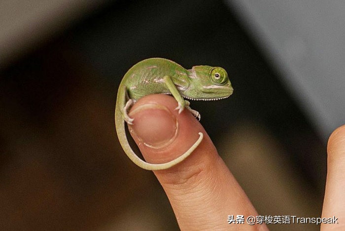 Idontcareajot我一点儿也不在乎
