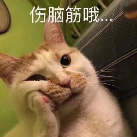 蓝盈莹为什么离开北京人艺,蓝盈莹为什么离开北京艺术剧院