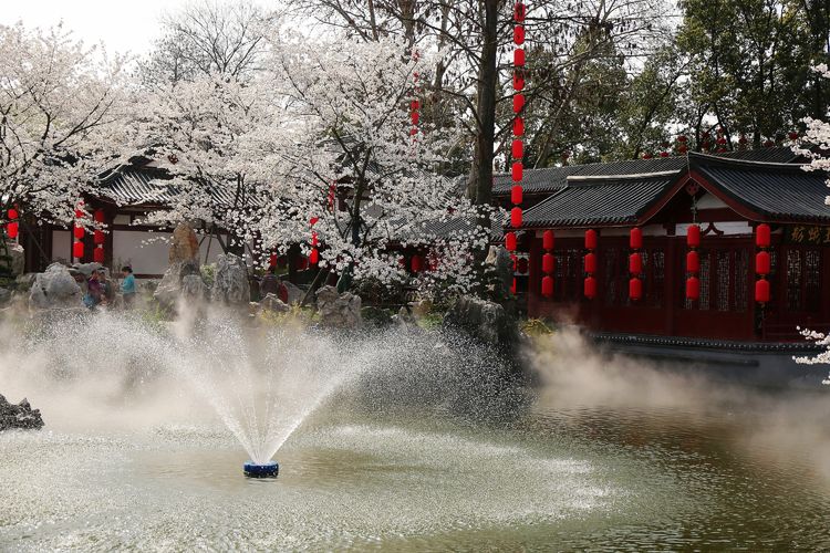 鑻遍泟褰掓潵妯辫姳鏈夌害,妯辫姳鐩涘紑鑻遍泟褰掓潵瀹屾暣瑙嗛