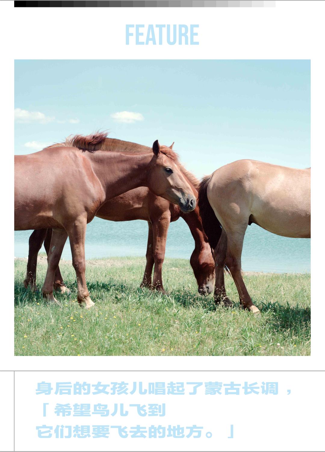 内蒙古阿拉善盟马奶酒,内蒙准格尔旗马奶酒