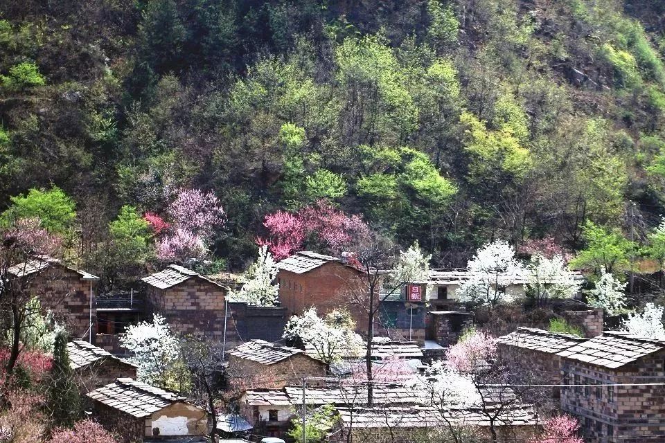 秋天最美地方,秋天全部的风景