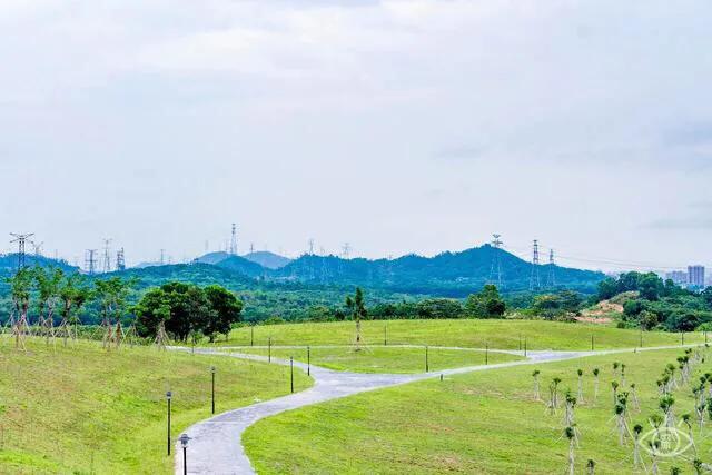 深圳免费公园哪里最好啊,深圳十大免费公园景点大全
