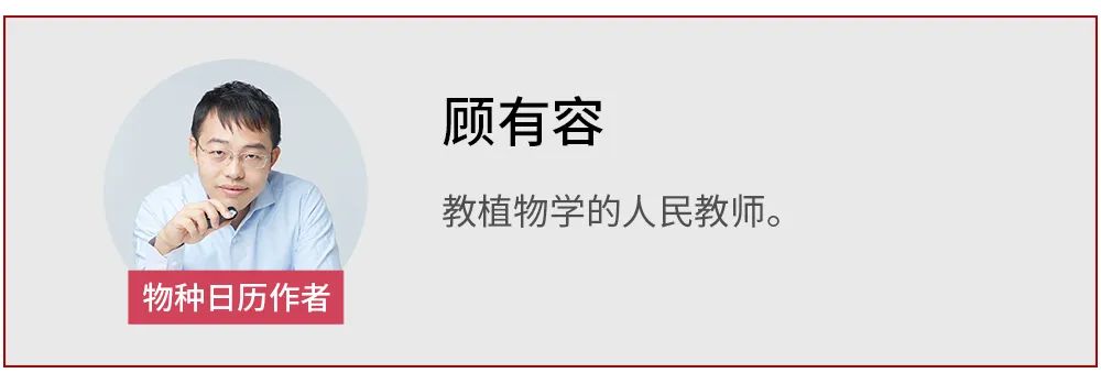 举还是不举？与渣男阿波罗朝夕相处的小花有自己的选择