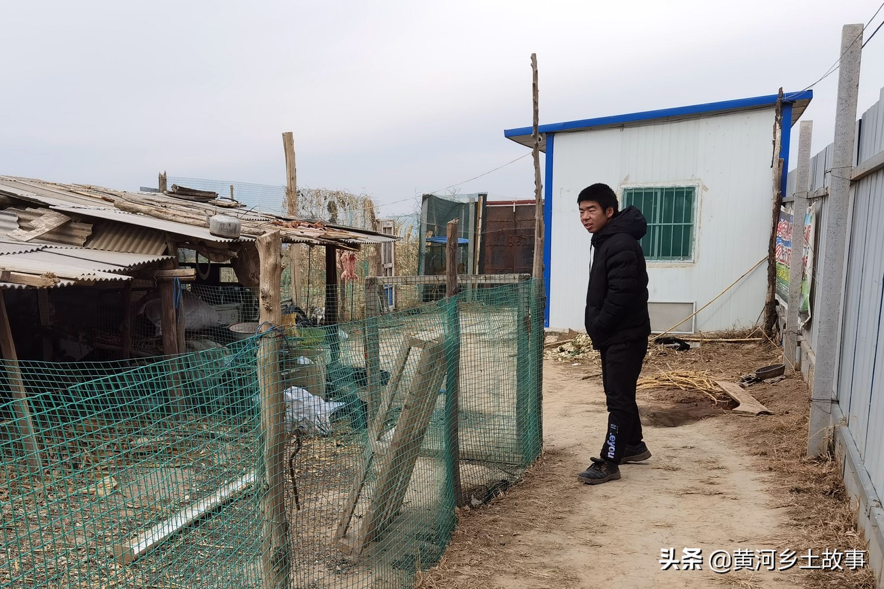 打工不如自己干，山西农民娃在野地养“野兔”，年赚10万元