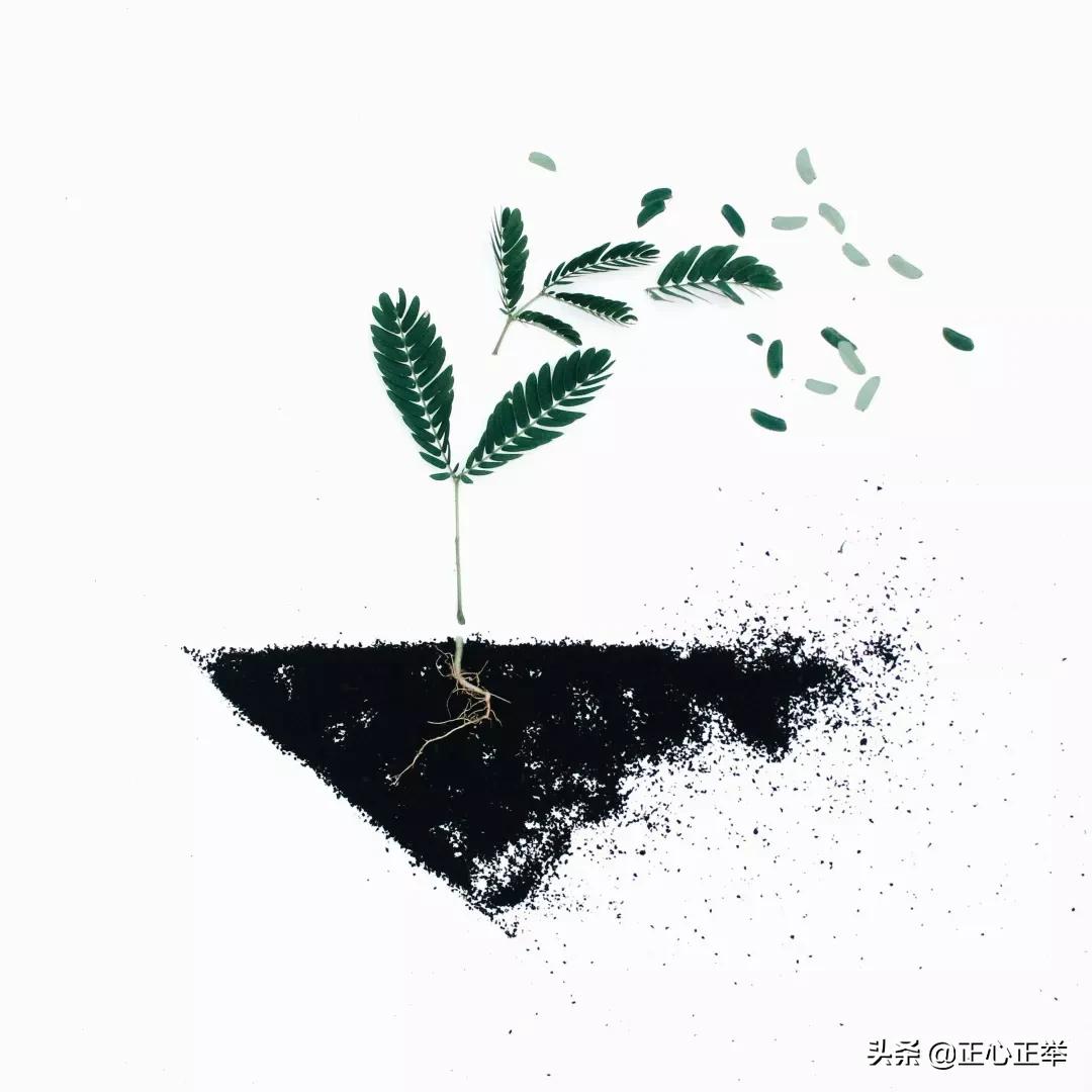 艺术的价值和意义英语,艺术的价值有审美价值吗