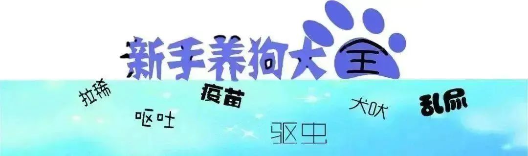 狗狗的寄生虫有多少只,狗狗拉的蛔虫虫是活的还是死的