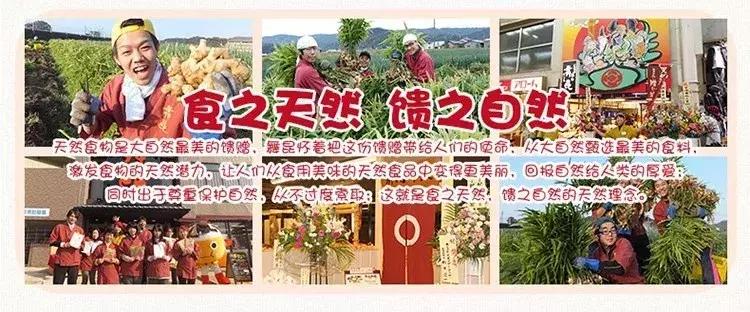 日本skii小灯泡多少钱,skii两款小灯泡对比
