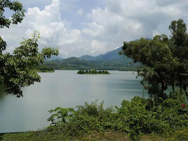 深圳免费公园哪里最好啊,深圳十大免费公园景点大全