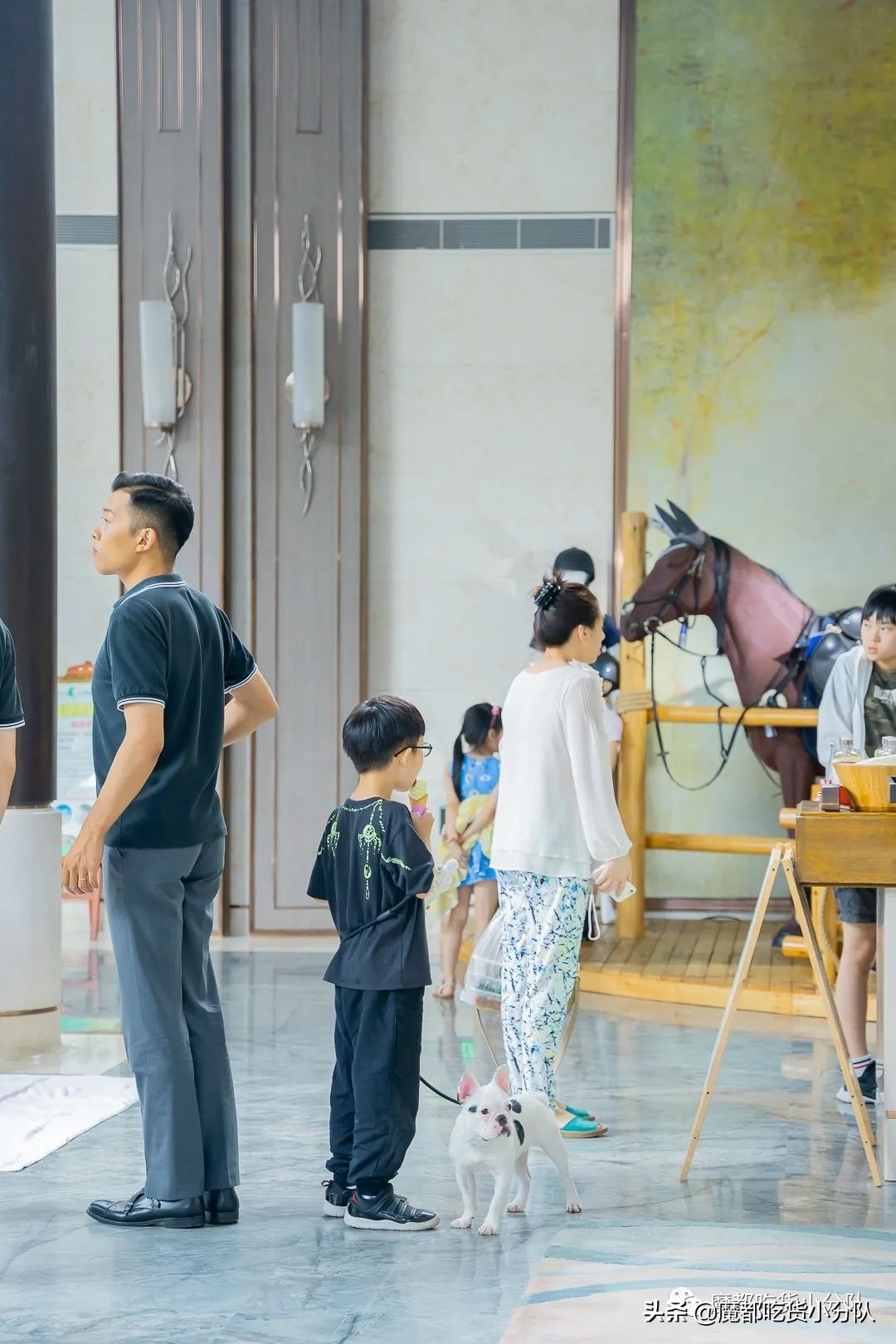 崇明岛地理位置独特,崇明岛过度开发