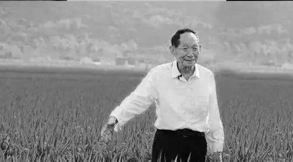 送别袁隆平群众高呼一路走好,袁隆平院士群众送别