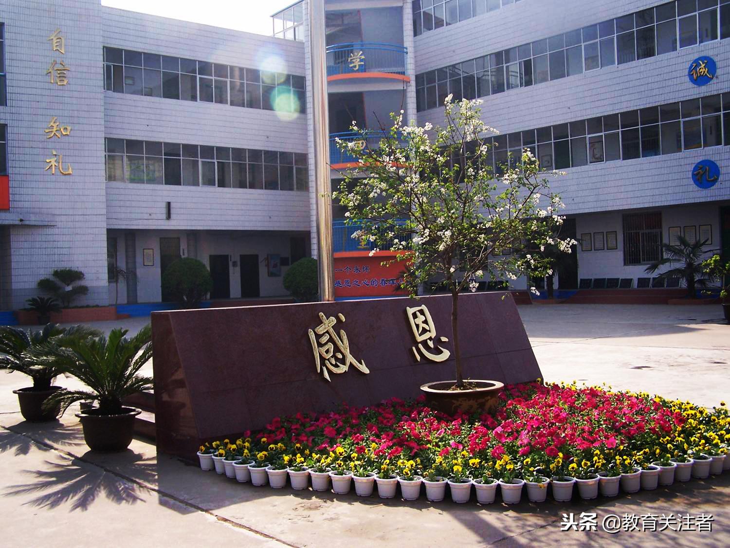 郑州市二七区春晖小学2017届,河南二七区春晖小学2017