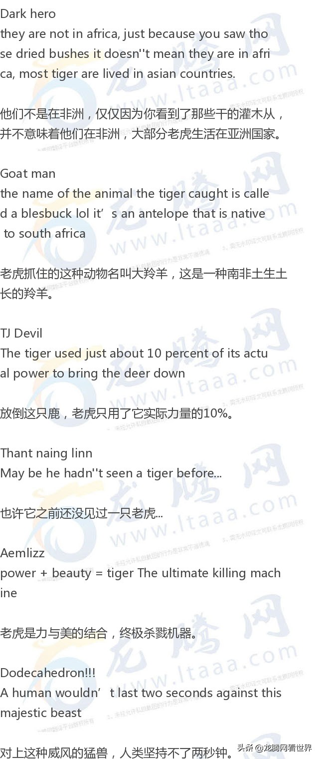 龙腾网军事,龙腾网三国空城计